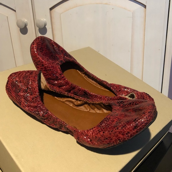 Lucky Ballet Flats - Picture 1 of 6